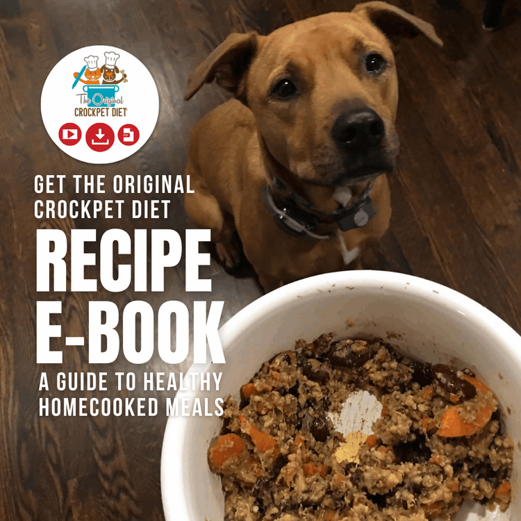 The Original Crockpet Diet™ Ebook and Recipes DIY Holistic Health Course by Dr. Ruth Roberts