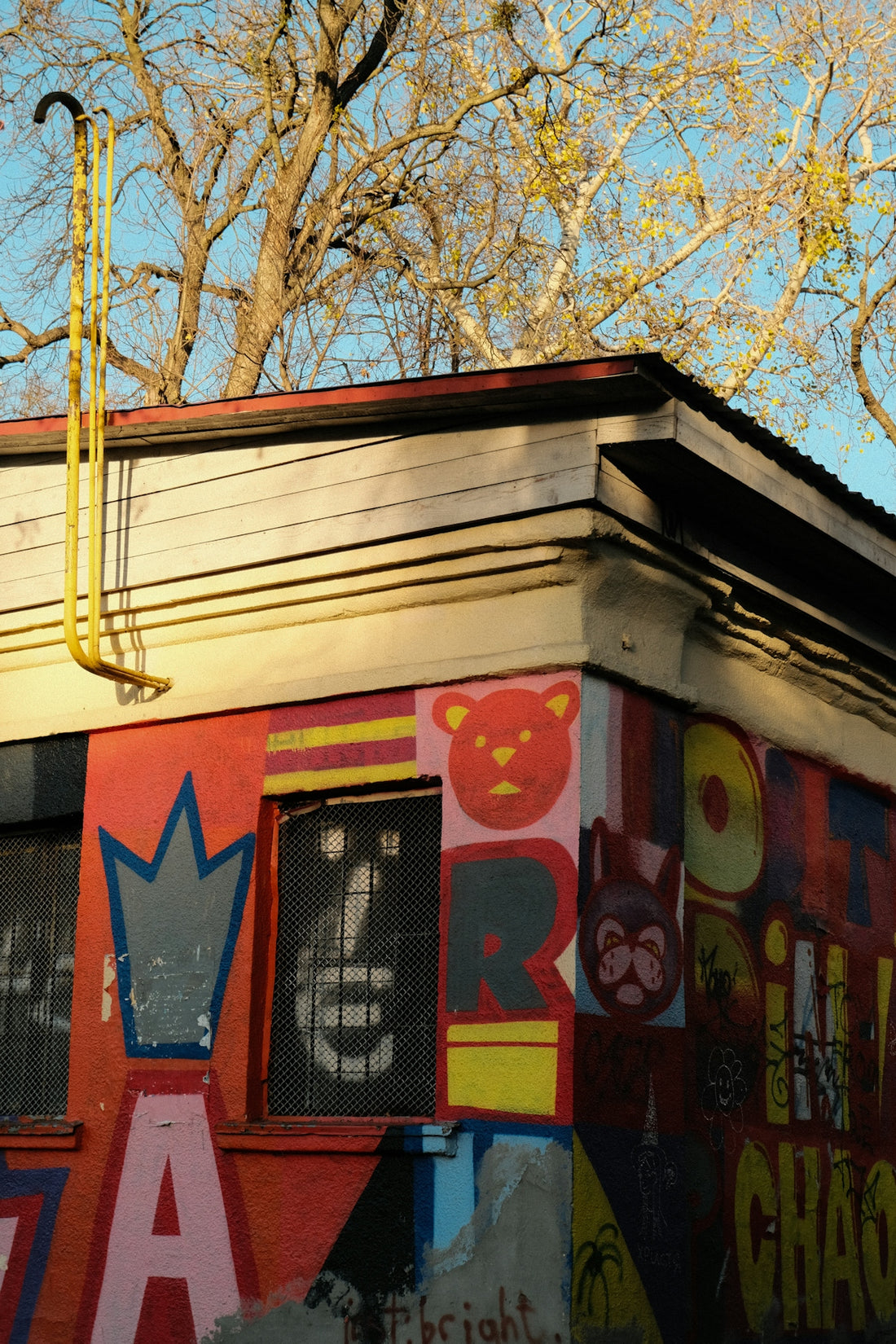 Building corner covered in colorful graffiti art