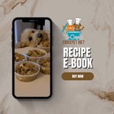 The Original Crockpet Diet™ Ebook and Recipes DIY Holistic Health Course by Dr. Ruth Roberts