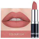 Matte Lipstick Lipstick mutual by mutualdropshopping