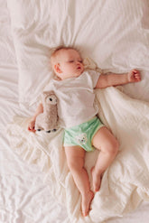 Get It Started Bundle Smart Potty Training & Incontinence Underwear by MyBeeBear