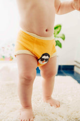 Get It Started Bundle Smart Potty Training & Incontinence Underwear by MyBeeBear