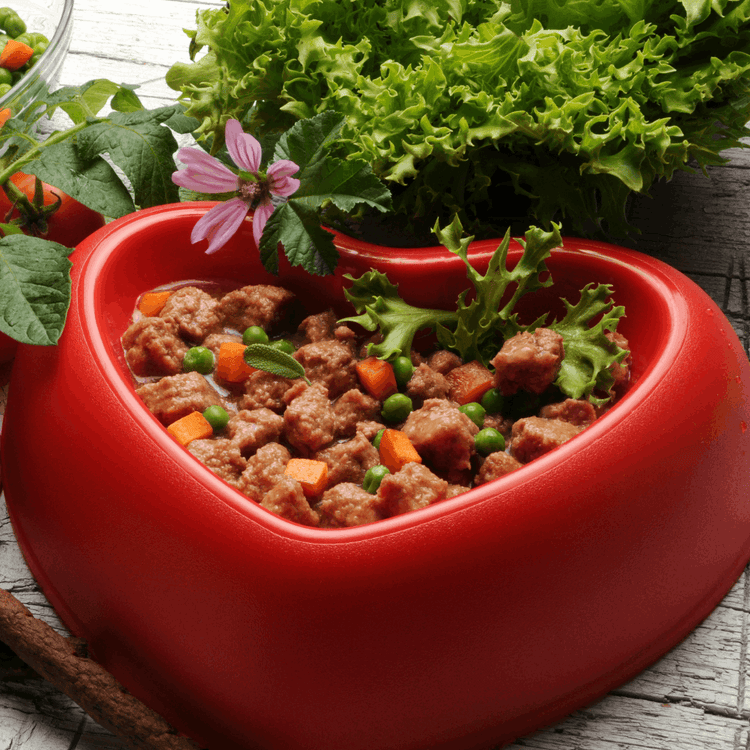 The Original Crockpet Diet™ Ebook and Recipes DIY Holistic Health Course by Dr. Ruth Roberts