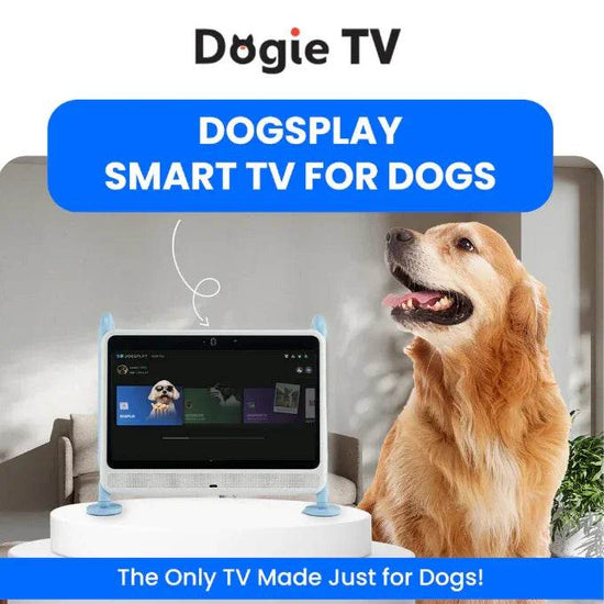 DOGSPLAY - SMART TV FOR DOGS Dog Supplies by Dogie TV