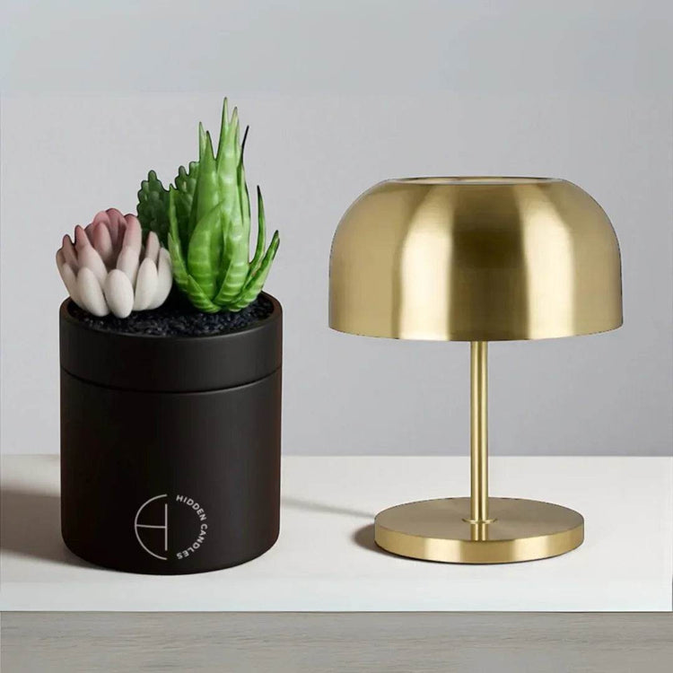 The Hidden Candle Succulent & Candle by Hidden Candles