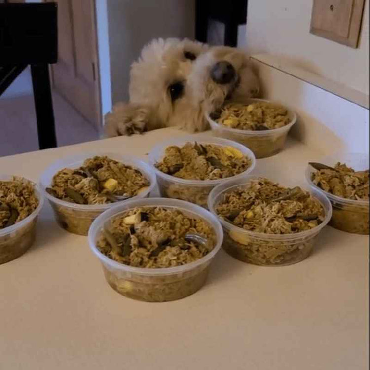 The Original Crockpet Diet™ Ebook and Recipes DIY Holistic Health Course by Dr. Ruth Roberts