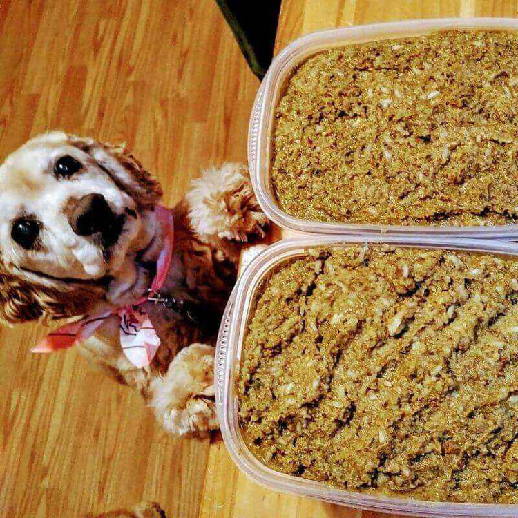 The Original Crockpet Diet™ Ebook and Recipes DIY Holistic Health Course by Dr. Ruth Roberts