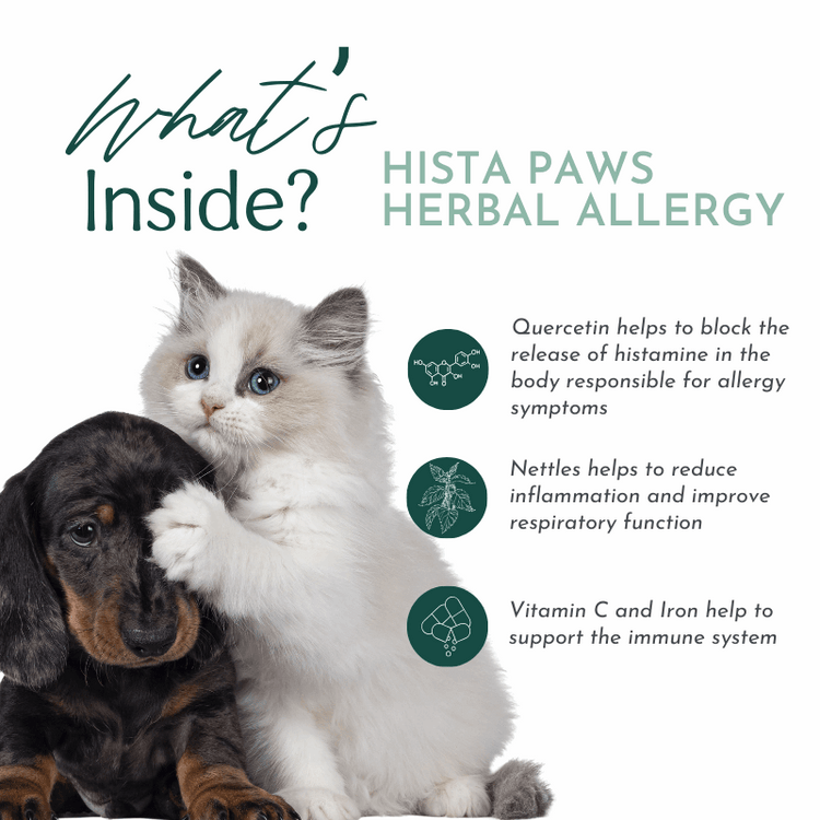 Hista Paws – with Quercetin for Dogs and Cats Vitamins & Supplements by Dr. Ruth Roberts