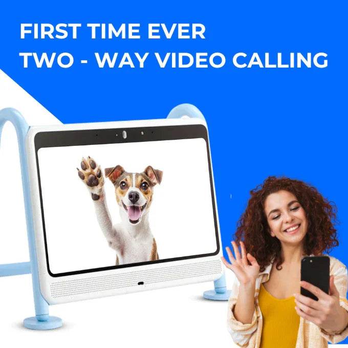 DOGSPLAY - SMART TV FOR DOGS Dog Supplies by Dogie TV