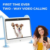 DOGSPLAY - SMART TV FOR DOGS Dog Supplies by Dogie TV