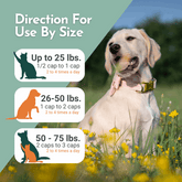 Hista Paws – with Quercetin for Dogs and Cats Vitamins & Supplements by Dr. Ruth Roberts