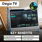 DOGSPLAY - SMART TV FOR DOGS Dog Supplies by Dogie TV