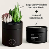 The Hidden Candle Succulent & Candle by Hidden Candles