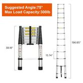 Aluminum Telescoping Ladder For Outdoor Work Telescopic Ladders by CJ