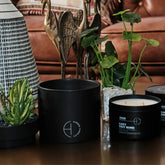 The Hidden Candle Succulent & Candle by Hidden Candles
