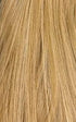 Shake-N-Go Snatched Wig Elara Snatched Wig Elara by DSERS / AliHairs Store