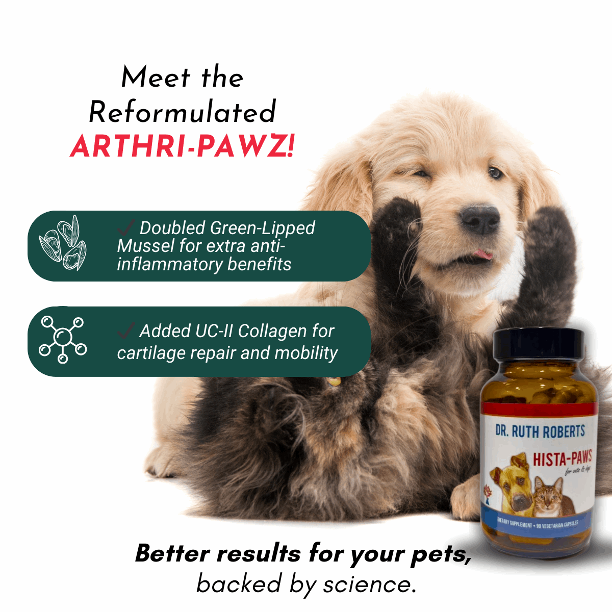 Arthri-Pawz – with Glucosamine for Cats and Dogs Joint Support by Dr. Ruth Roberts