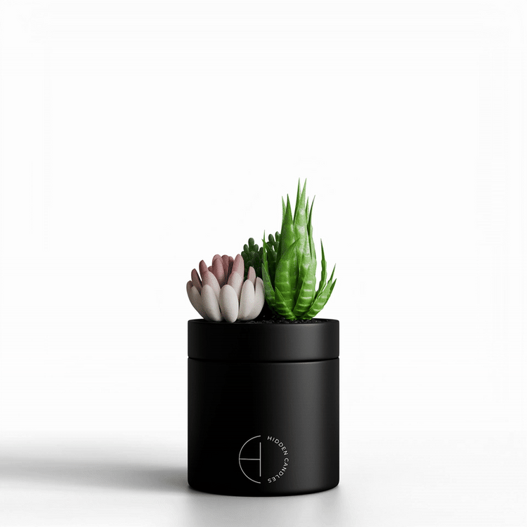 The Hidden Candle Succulent & Candle by Hidden Candles