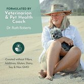 The Original Crockpet Diet™ Ebook and Recipes DIY Holistic Health Course by Dr. Ruth Roberts