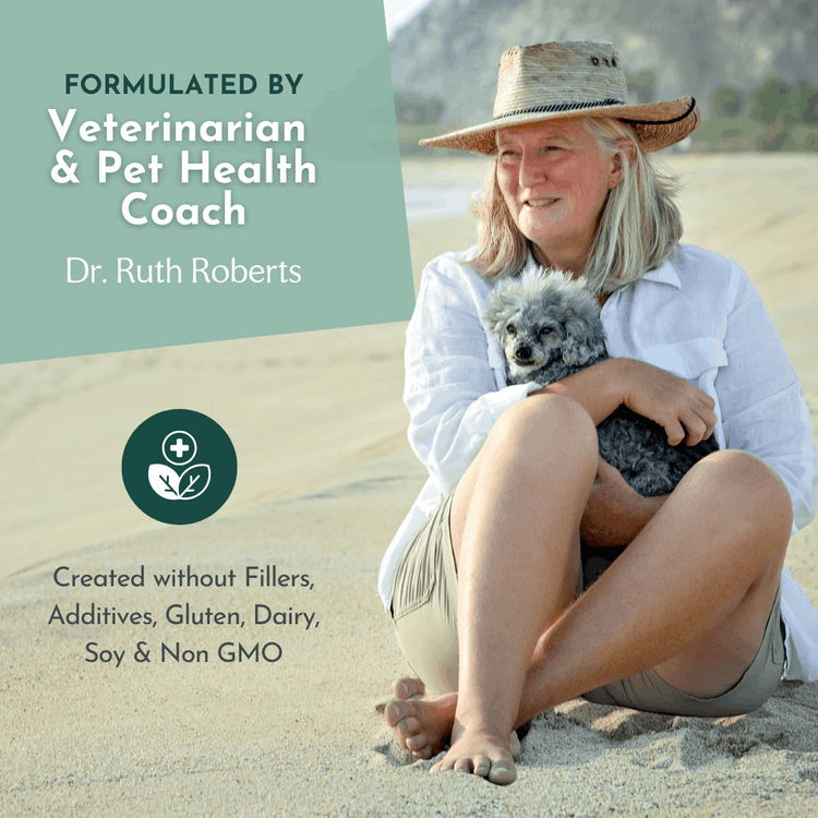 The Original Crockpet Diet™ Ebook and Recipes DIY Holistic Health Course by Dr. Ruth Roberts