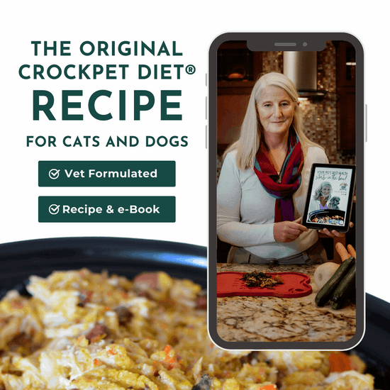 The Original Crockpet Diet™ Ebook and Recipes DIY Holistic Health Course by Dr. Ruth Roberts