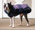 All Weather Dog Coat Accessories by FITS Riding