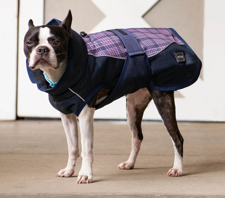 All Weather Dog Coat Accessories by FITS Riding