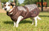All Weather Dog Coat Accessories by FITS Riding