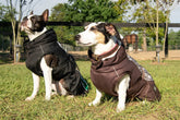 All Weather Dog Coat Accessories by FITS Riding