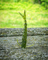 The Sharpshooter by Fish or Die Bait Company