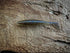 The Dagger by Fish or Die Bait Company