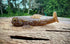 A-Jack by Fish or Die Bait Company