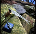 The Culper by Fish or Die Bait Company