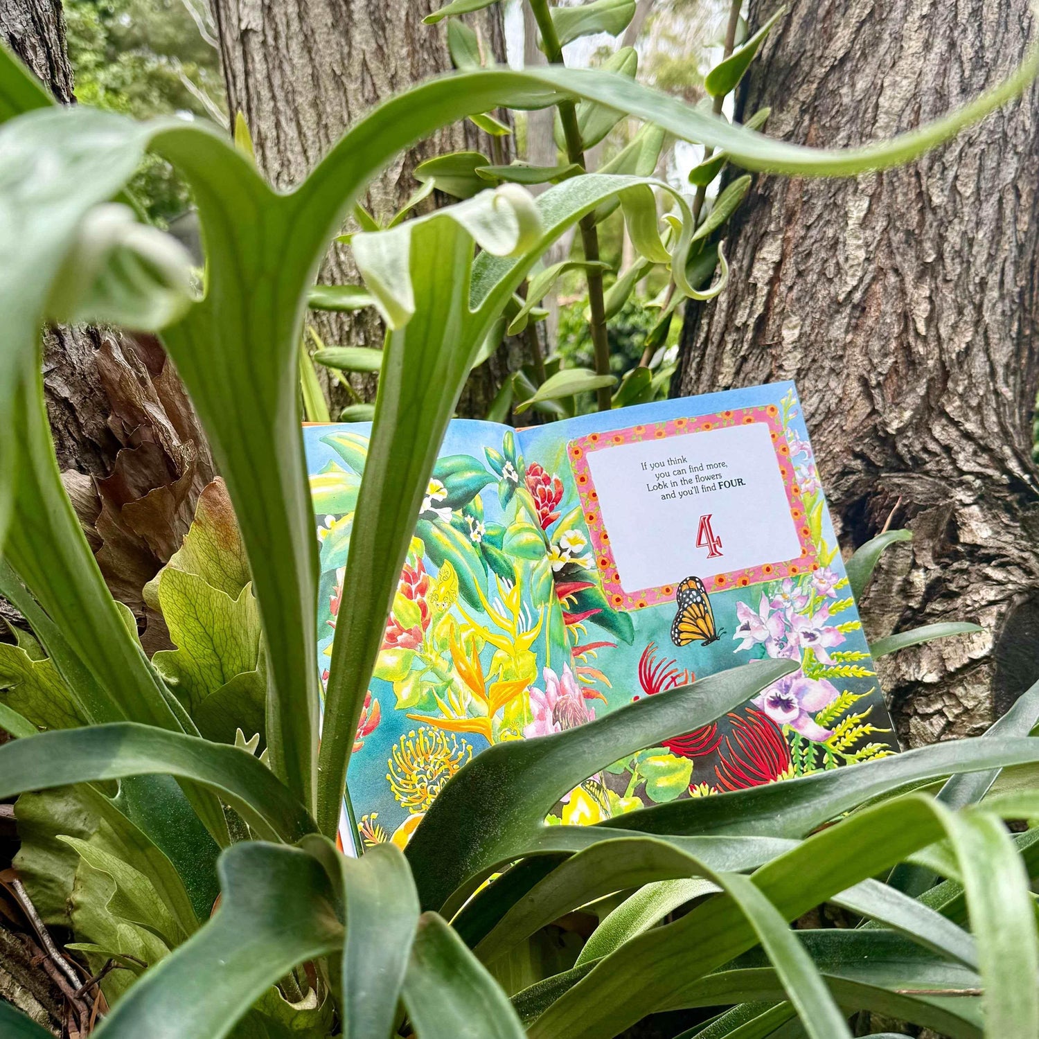 Gecko Hide and Seek by Hawaiian Children&