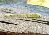 The Gadsden by Fish or Die Bait Company
