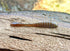The Gadsden by Fish or Die Bait Company