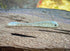 The Gadsden by Fish or Die Bait Company