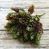 YO CHO Artificial Fake Plant Twigs Succulents Leaves 30 Heads Pineapple Grass Green Plastic Plant DIY Home Garden Wedding Decor by DSERS
