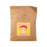 Marta the Marvelous Mushroom by Heron Hill Stitch Co.