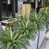 Realistic Boston Ferns 57cm/67cm Artificial Boston Fern Plants 38 Leaves UV Resistant Fake Ferns Greenery for Door Porch Decors by DSERS
