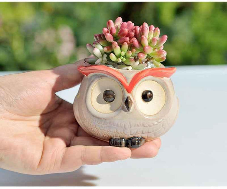 Ceramic Owl Flower Pot Garden Office Decoration Succulent Mini Owl Flowerpot Cute Animal Flowerpot Cactus Plants Planters by DSERS