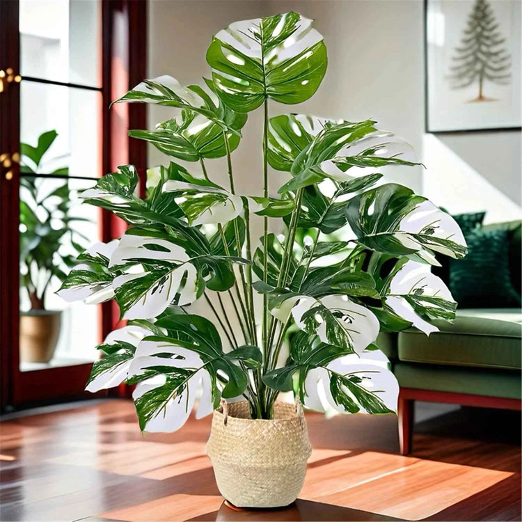 Realistic Artificial Monstera Plant with White Striped Leaves - Perfect for Indoor/Outdoor Decor Weddings Hotels Gardens by DSERS