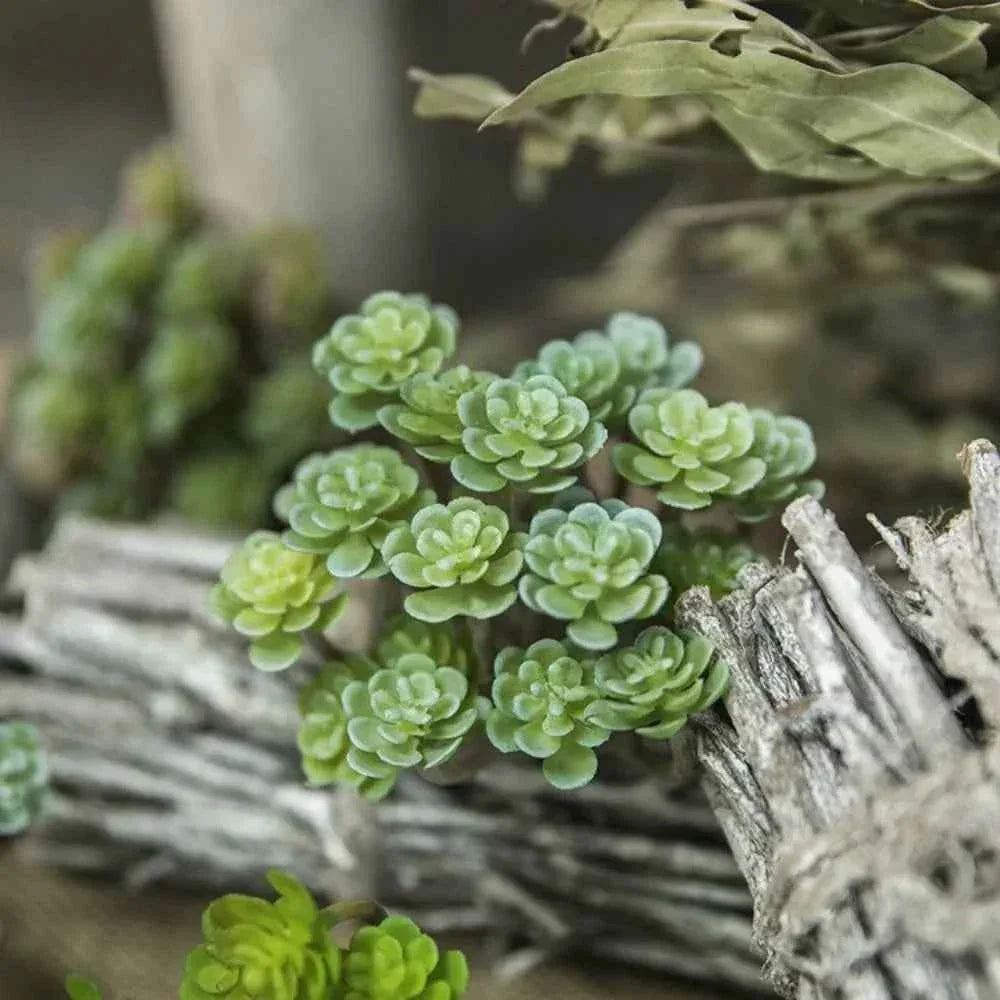 24 Heads Mini Artificial Cactus Plant Plastic Realistic Artificial Succulent Plant Real Touch Micro Landscape Decoration by DSERS