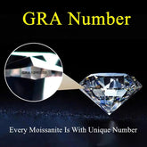 0.3-10ct Rare Oval Cut Moissanite Loose Stone Moissanite Diamond by DSERS
