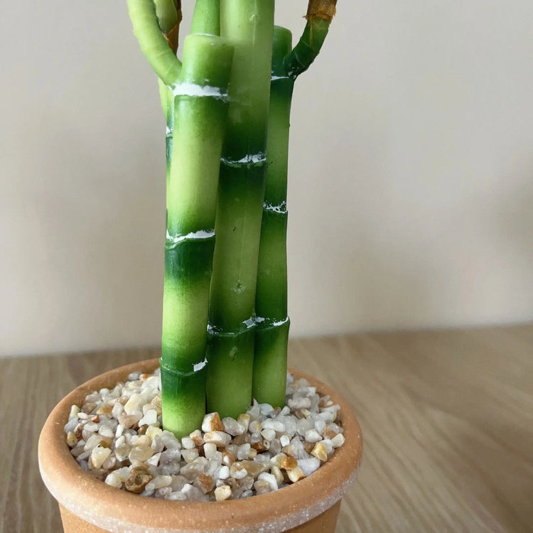 Artificial Lucky Bamboo Plant Green Potted Garden Outdoor Living Room Desktop Aesthetic Space Tropical Rainforest Home Decor by DSERS