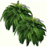 Realistic Boston Ferns 57cm/67cm Artificial Boston Fern Plants 38 Leaves UV Resistant Fake Ferns Greenery for Door Porch Decors by DSERS
