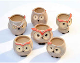 Ceramic Owl Flower Pot Garden Office Decoration Succulent Mini Owl Flowerpot Cute Animal Flowerpot Cactus Plants Planters by DSERS