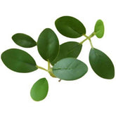 46cm Artificial Plant Mini Milan Leaves Money Leaf Wedding Home Decoration Eucalyptus Leaf Fake Flower Fake Leaf Green Plant by DSERS