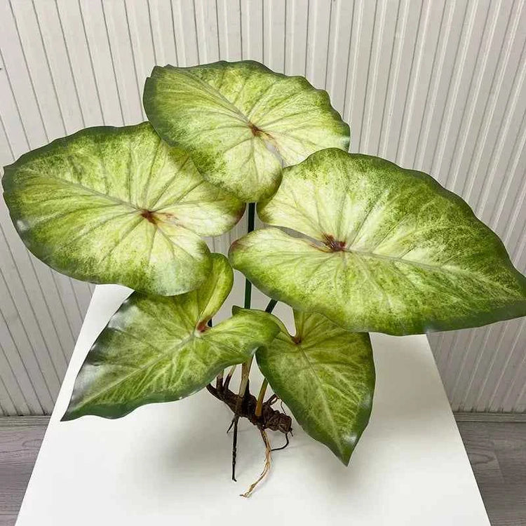 Large Lotus Leaves with Roots Plant Artificial Green Home Landscape Garden Decor Simulation Plants Wedding Party Table Decor by DSERS