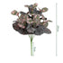 Artificial Plants Leaves Silk Tortoiseshell Leaf Dieffenbough Fake Small Fairy Taro Simulation Green Plant Living Room Decor by DSERS